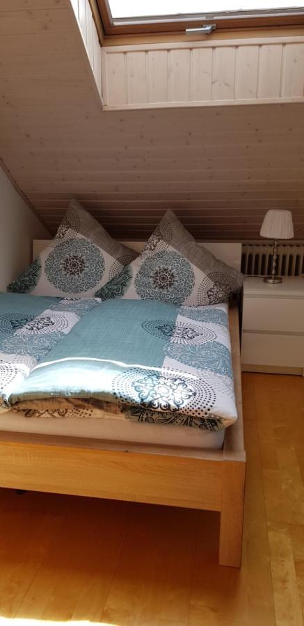 Appartment Sonnenblick Dielheim Bagian luar foto